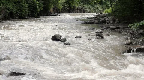 Creek after Rainfall Stock Footage 24813471