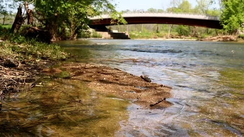 Creek and Bridge Landscape Stock Footage