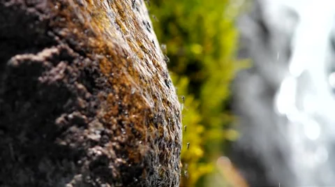 Creek and insects. Stock Footage 40414212