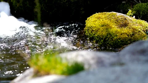 Creek And Rocks Covered With Moss. Stock Footage 39506341