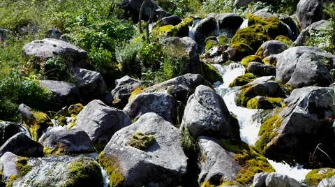 Creek and stone. Stock Footage 40545397