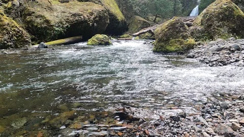 Creek and Waterfall 4K Stock Footage 294120022