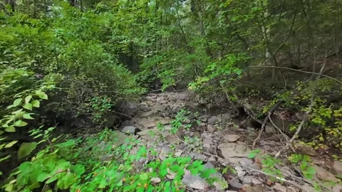 Creek bed Flythrough Stock Footage 285577846