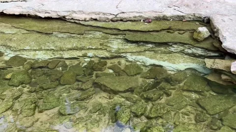 Creek bed Stock Footage 205611862