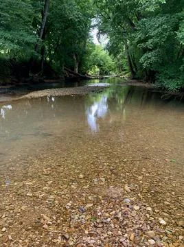 Creek bed Stock-Fotos
