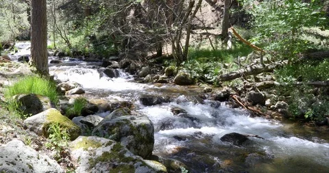 Creek between rocks in forest Stock Footage 93380215