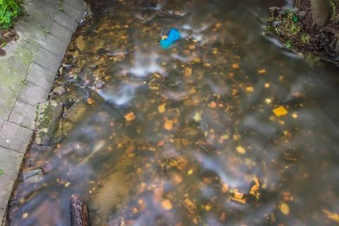 Creek bottom Stock Photos