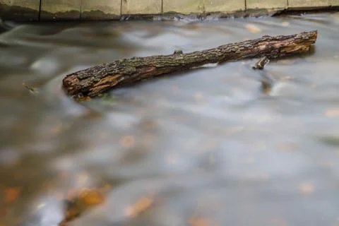 Creek bottom Stock Photos