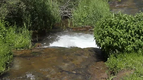 Creek bubbles over a rock Stock Footage 40361421