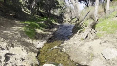 Creek in Calabassas Stock Footage 236492381