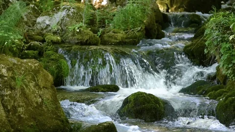 Creek cascade in forest Stock Footage 97277584