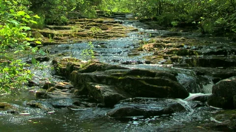 Creek Cascade Wide Video stock 146746