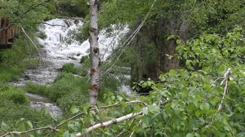 Creek churns forcefully through the forest Stock Footage 40302475