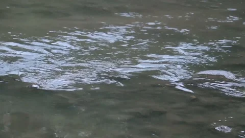 Creek Close up 1 Stock Footage 90862874