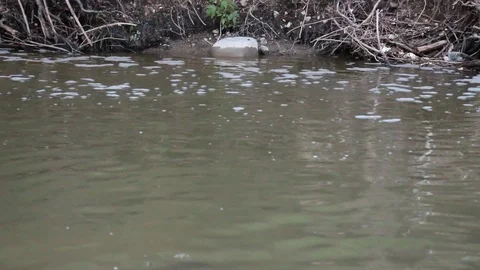 Creek Close up 2 Stock Footage 90725844