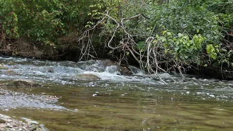 Creek Close up 4 Stock Footage 90725922