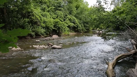 Creek Close up 5 Stock Footage 90726105