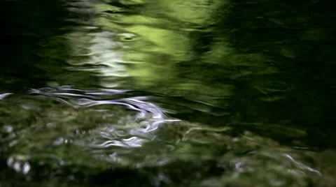 Creek close-up Stock Footage 37893068
