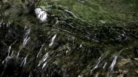 Creek close-up. Stock Footage 38088062