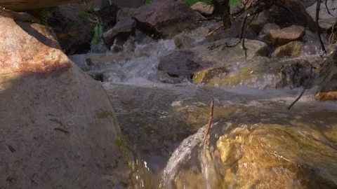 Creek close up Video stock 246874427
