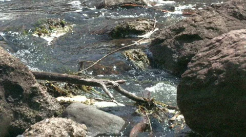 Creek Closeup 2 Stock-Footage 731052