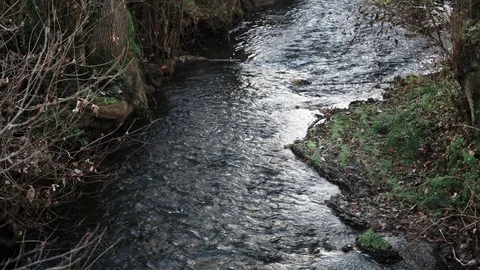 Creek on a cold autumn morning 2 Stock Footage