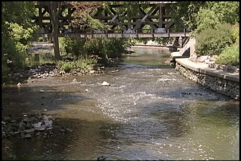 Creek  Covered bridge Video stock 310996