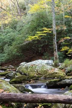 Creek with deadfall tree in the foreground Stock Photos