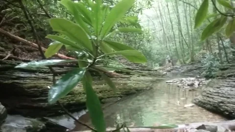 Creek at Devils Bathtub Stock Footage 78613207