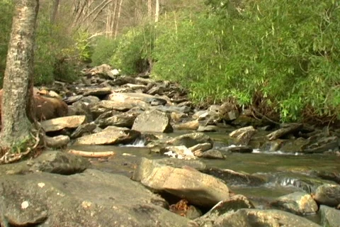 Creek dolly left 1 Video stock 541285