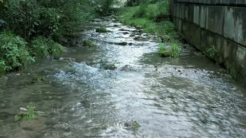 Creek Drone 스톡 동영상 220883885