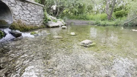 Creek emerging from stone pipe panning Vídeos de archivo 335541447