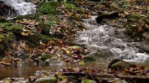 Creek fall Video stock 43217729