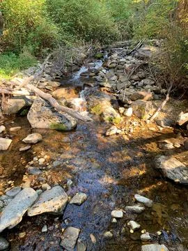 Creek in the fall Stock Photos