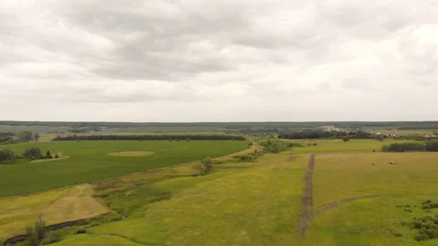 Creek in the field Stock Footage 146718227
