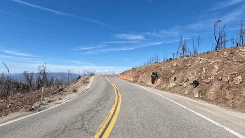 Creek Fire aftermath - March 2020, 18 months after the fire Stock Footage 181230604