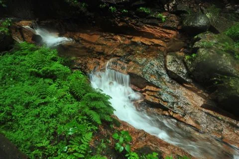 Creek flow Stock Photos