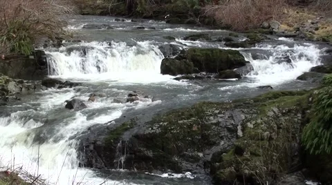 Creek Flow VanIsle.m2ts Stock Footage 1085558
