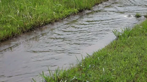 Creek flowing after storms in Texas. Stockbeeldmateriaal 50339985
