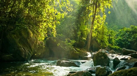 Creek flowing between rocks in the rainforest Stock Footage 36074001