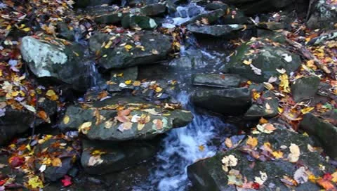Creek flowing on a fall day Stock Footage 8852906