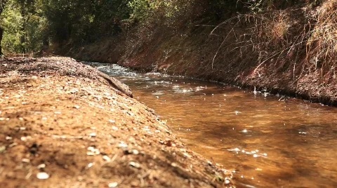 Creek flowing  Stock Footage 625817