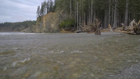 Creek flowing into ocean with cliff Stock Footage 87438739
