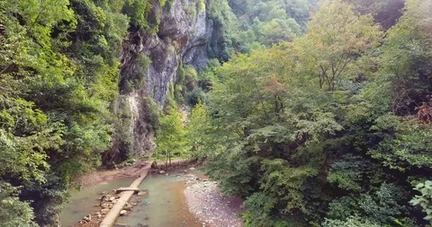 THE CREEK FLOWING SLOWLY THROUGH THE TREES Stock Footage 110771857