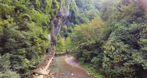 THE CREEK FLOWING SLOWLY THROUGH THE TREES Video stock 110771944