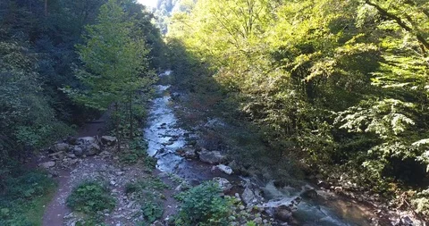 THE CREEK FLOWING SLOWLY THROUGH THE TREES Stock Footage 110772037