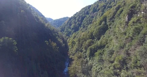 THE CREEK FLOWING SLOWLY THROUGH THE TREES Stock Footage 110772259