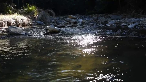 Creek flowing with sun reflection Stock Footage 75125235