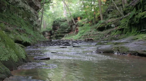 Creek Flowing Through Canyon Video stock 61296450