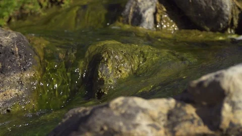 Creek flowing through the rocks Stock Footage 85817390